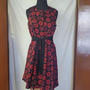 Black Red Poppy Sleeveless A Line Print Dress
